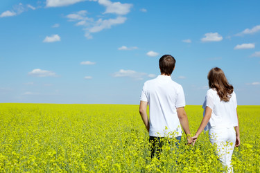 Similar image 608619