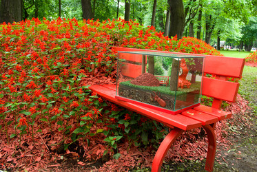 Similar image 608625