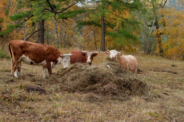 Similar image 608653