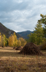 Similar image 608654