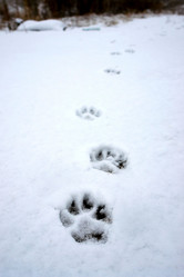 Similar image 608688