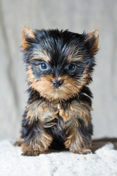 Similar image 608800