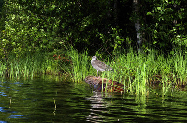 Similar image 608826