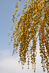 Similar image 608965