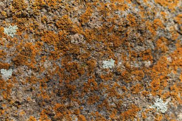 Similar image 608982