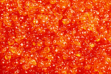 Similar image 609121