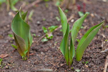 Similar image 609127