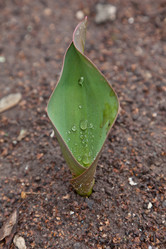 Similar image 609131