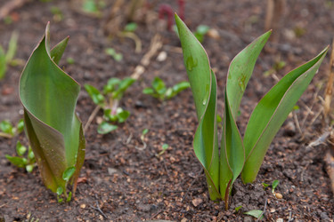 Similar image 609134