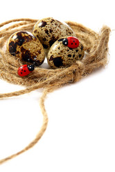 Similar image 609157