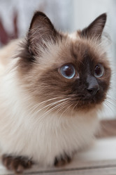 Similar image 609183