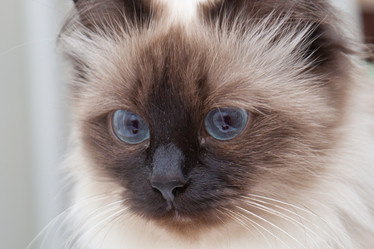 Similar image 609184