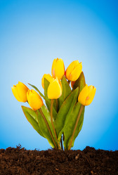 Similar image 609231