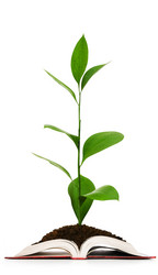 Similar image 609233