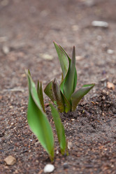 Similar image 609339