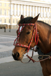 Similar image 609373