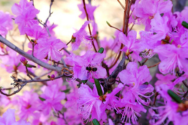 Similar image 609383