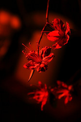 Similar image 609385