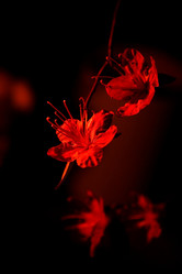 Similar image 609386