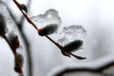 Similar image 609390