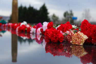 Similar image 609393