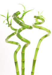 Similar image 609414