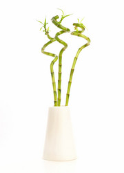 Similar image 609416