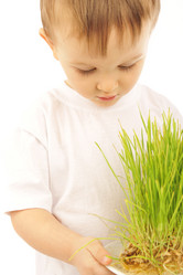 Similar image 609441