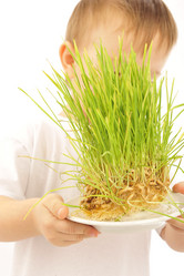 Similar image 609442