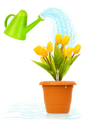 Similar image 609528