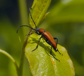 Similar image 609684