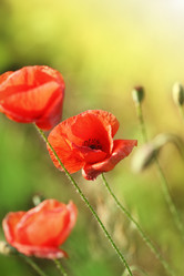 Similar image 609841