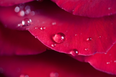 Similar image 609857