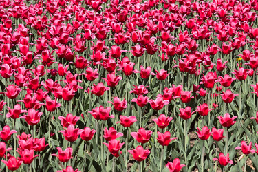 Similar image 609874