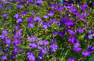 Similar image 609879