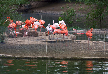 Similar image 609891