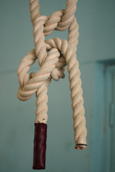 Similar image 610071