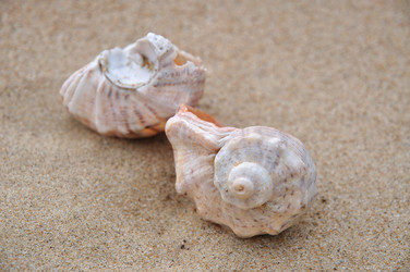 Similar image 610095