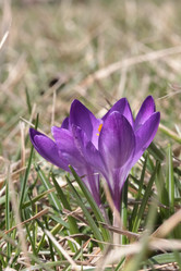 Similar image 610125