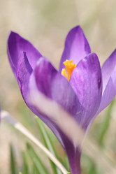 Similar image 610128