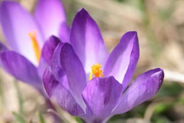 Similar image 610129