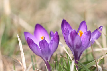 Similar image 610130