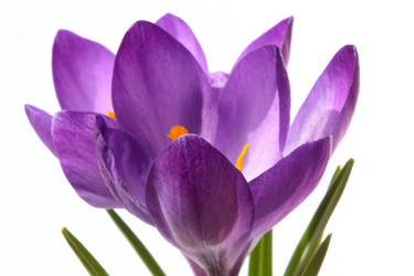 Similar image 610132