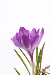 Similar image 610134