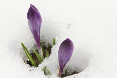 Similar image 610135