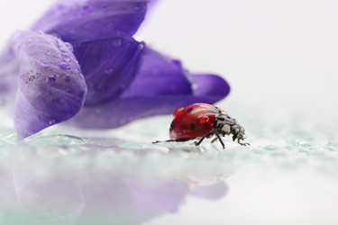 Similar image 610137