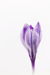 Similar image 610140