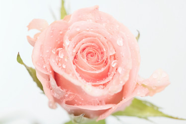 Similar image 610146