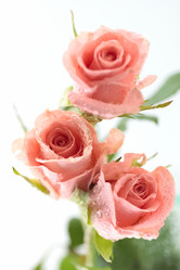 Similar image 610147