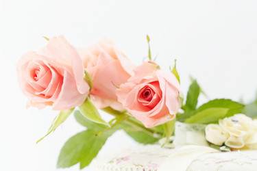 Similar image 610150